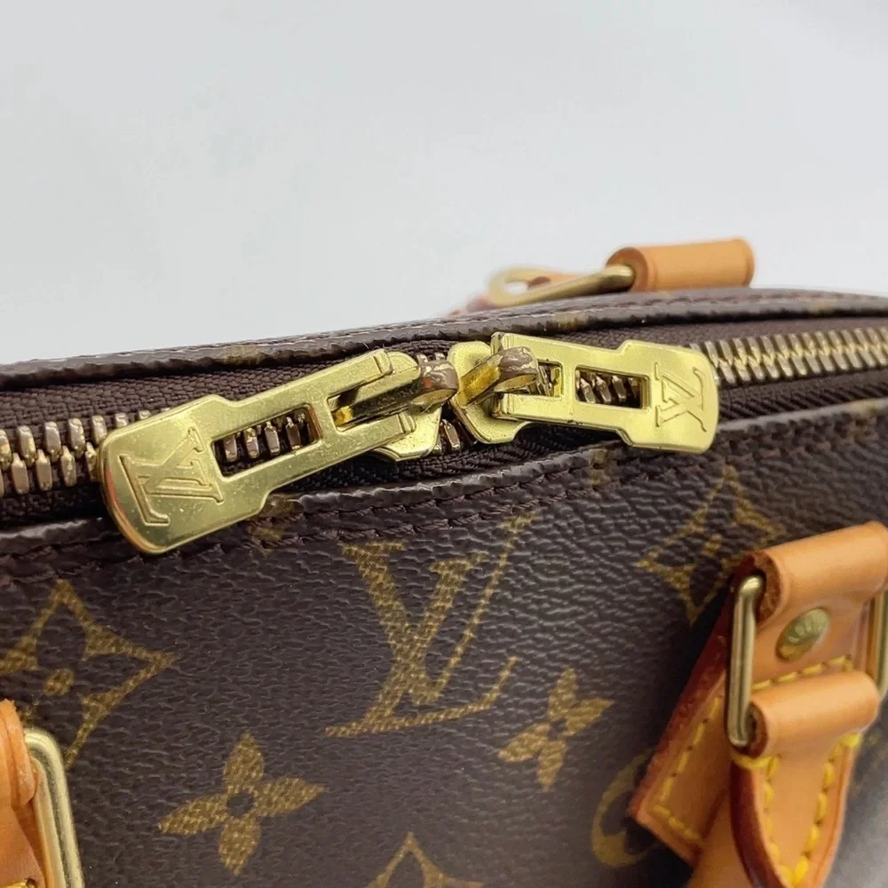 Louis Vuitton brand louis